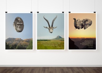Safari animals in a low-poly style on landscapes with inspirational quotes
